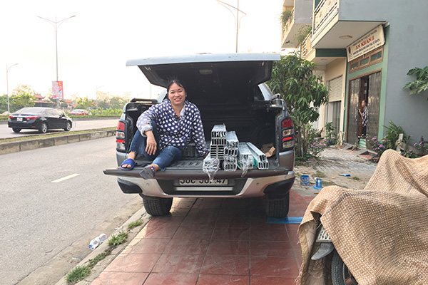 Trang trí led tòa nhà